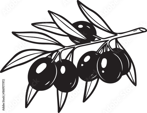 Black and White Olive Branch with Olives Vector Illustration