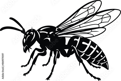 Detailed illustration of a wasp in profile view