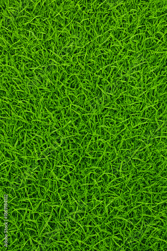 green fresh lawn grass top view angle
