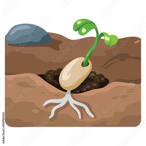 Vector illustration of a spouting seed perfect for nature themes organic growth eco branding gardening design or botanical educational artwork