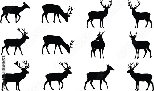 Deer silhouette set with stag and doe poses, wild forest animals, antlered wildlife shapes, isolated black vector illustrations for nature and hunting designs
