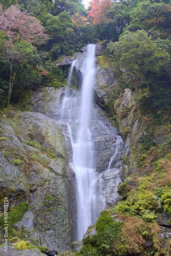 熊本県八代市、せんだん轟の滝