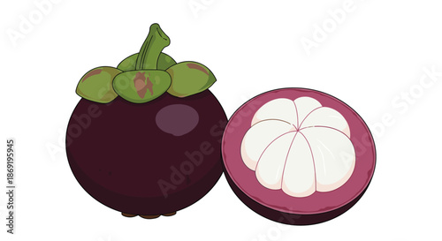 Whole mangosteen fruit and its half showing white segments are illustrated with vibrant purple skins for tropical food concepts.