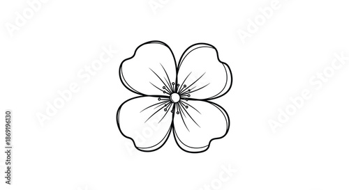 Simple black and white line drawing of a four petal flower similar to a dogwood or jasmine blossom for minimalist designs.