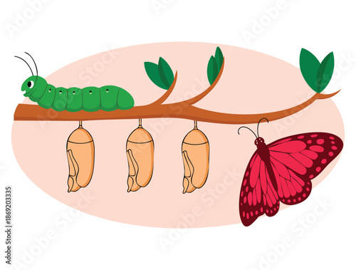 Vector illustration of transforming concept representing transformation metaphor changing evolution modification process and time development creative idea