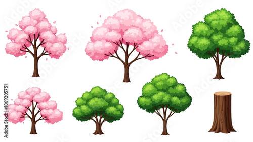 Spring trees vector nature illustration collection with pink blossom sakura, trunks, green crown. Isolated summer season park cartoon floral icon set. Spring trees garden environment logo landscape HD