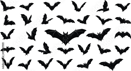 Bat silhouette vector collection, flying bats illustration, Halloween graphic design, spooky animal shapes, cad drawing flat vector illustration