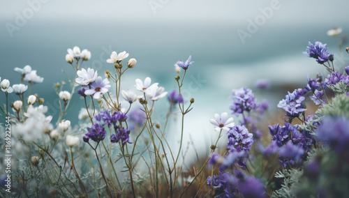 Wildflowers with delicate white and purple petals blooming against a soft, blurred background of the ocean coastline