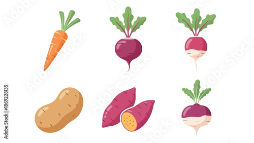 Assorted Fresh and Colorful Vegetables Carrots, Beets, Potato, Sweet Potato, and Radishes, for a Healthy Diet