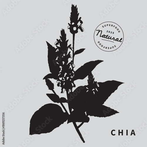 Chia plant with leaves vector illustration. Superfood. Minimalist art botanical poster template. Trinket design element.