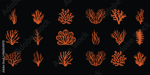 Collection of Orange Coral and Seaweed Silhouettes on Black Background