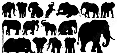 Elephant Silhouettes Collection in Various Poses and Actions on Transparent Background
