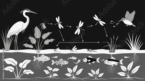 A vibrant close-up photograph featuring a single yellow daisy with a bright orange center captured in sharp detail against a soft green blurred background