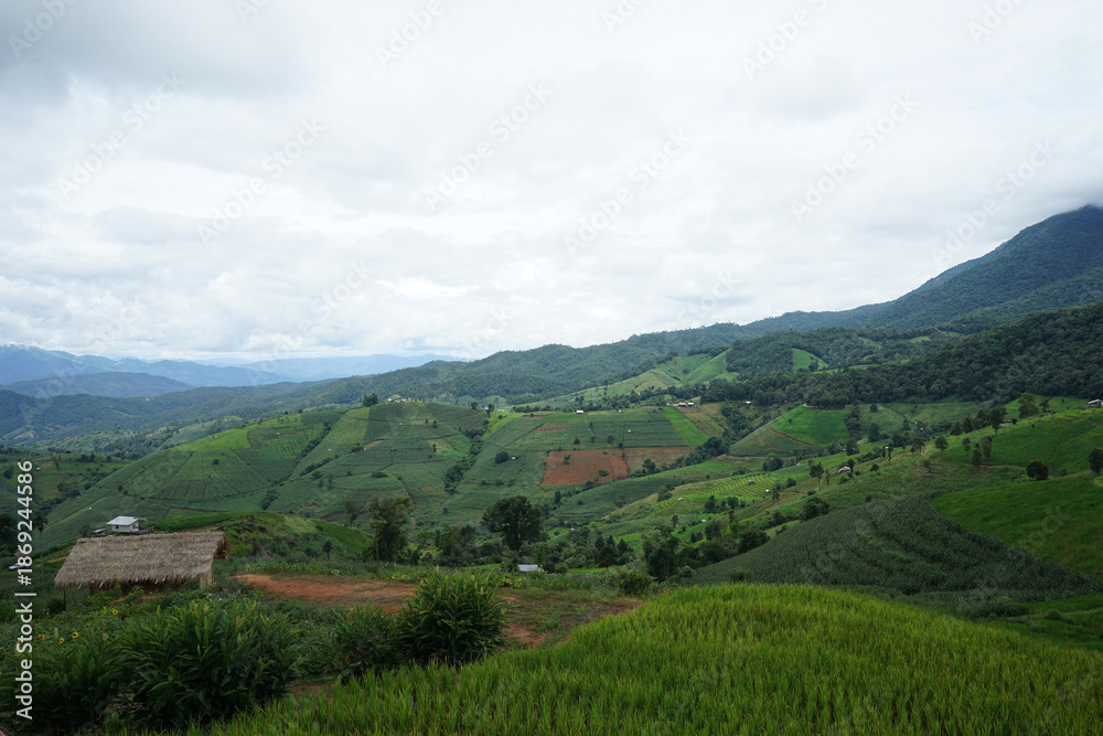 Fototapeta premium Natural landscape view of green rice paddy terrace