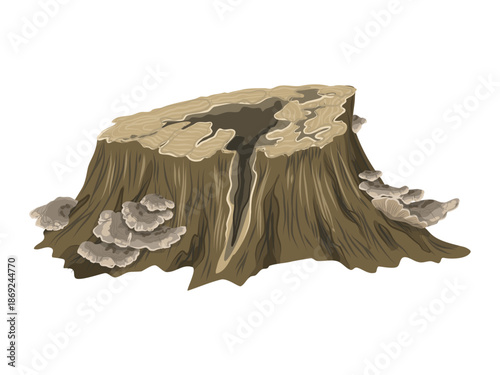 An old tree stump with cracks and fungi. A realistic vector element for forest landscapes.
