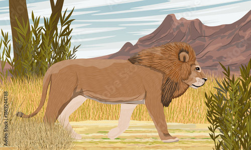 A lion walks along a sandy road in the African savannah at the foot of the mountains. African wild predators. Realistic vector  landscape