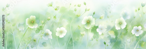 pastel watercolor floral background image with white flowers, in the style of light emerald and white. banner