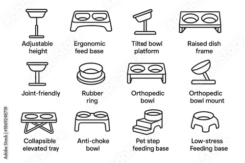 Rubber raised feeding vector setup pet icon step platform feeders bowl tray