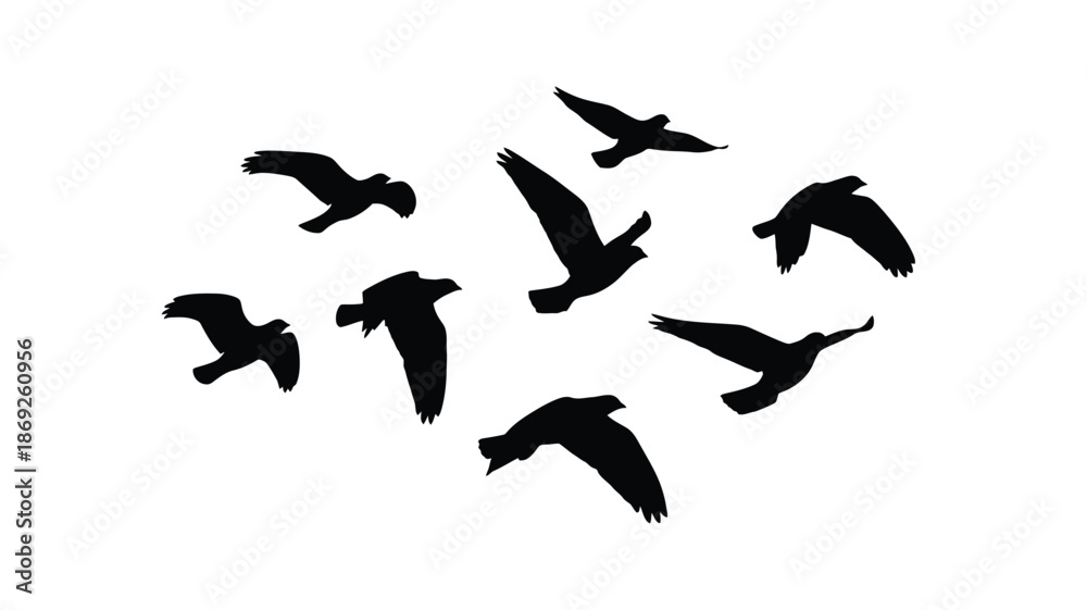 Obraz premium A flock of birds in flight captured as a striking silhouette