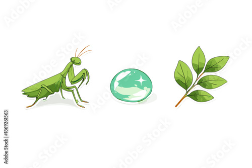 Green praying mantis, magical orb, and branch with leaves