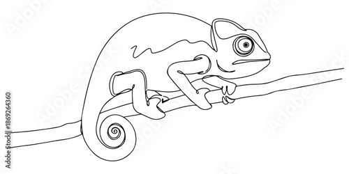 Continuous one line of a chameleon holding on to a branch, animal world and wildlife, drawn vector illustration.