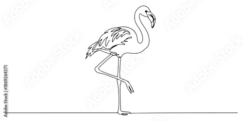 Continuous one line of a flamingo standing, animal world and wildlife, drawn vector illustration.
