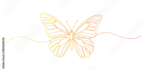 Continuous one line of a butterfly with wings spread, animal world and wildlife, drawn vector illustration.