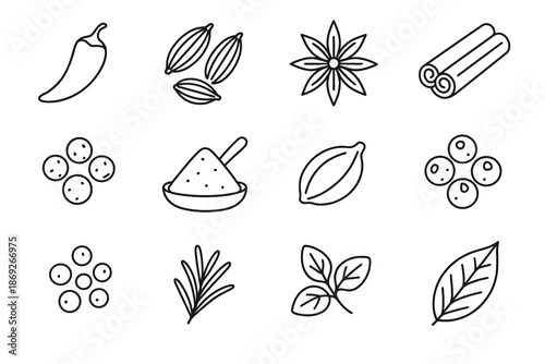Collection pod vector pepper oregano cumin seeds icon leaf peppercorns spice anise