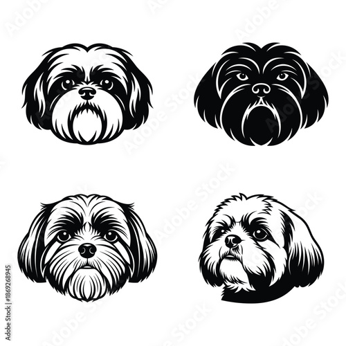 Four silhouettes of shih tzu puppies isolated on white background, Vector, illustration