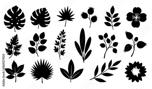 Black botanical silhouette element set flowers exotic leaves and garden foliage vector illustration