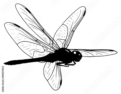 a black and white illustration of a dragonfly flying with wings spread, black, dragonfly, fly, illustration, insect, silhouette, wing, against transparent background