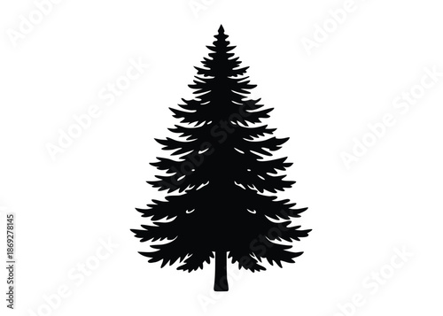 douglas-fir-isolated-on-white-background--close-up.eps