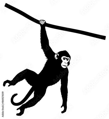 a black silhouette of a monkey holding on to a branch hanging from a tree, black, branch, climb, hang, hang on, hold, monkey, silhouette, tree, tree branch, against transparent background