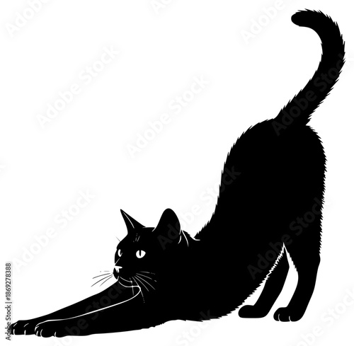 a black silhouette of a cat lying down, black, cat, lay, lie, silhouette, tail, against transparent background