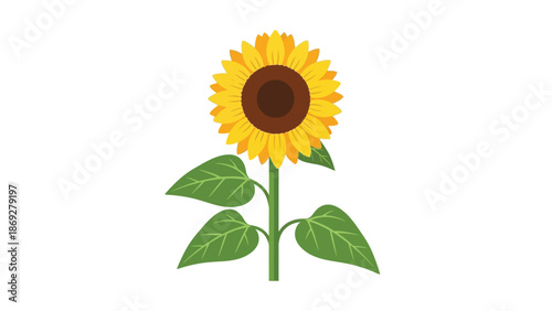 A vibrant yellow sunflower in full bloom standing tall on its green stem representing summer beauty and nature