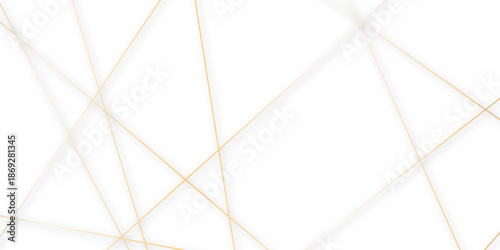Abstract minimalistic white background with elegant intersecting golden lines forming a geometric pattern. random chaotic line and creative geometric many square, triangle shape background.