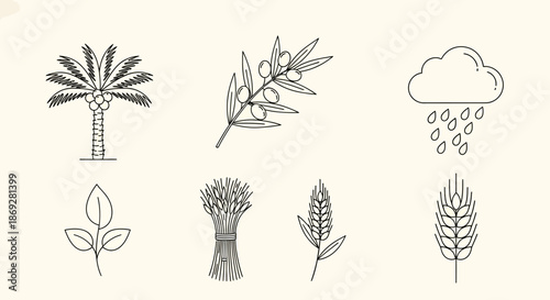 Agricultural and Nature Line Art Icons Set: Date Palm, Olive Branch, Wheat, Rain Cloud, Plant Leaves. Hand-drawn vector symbols.