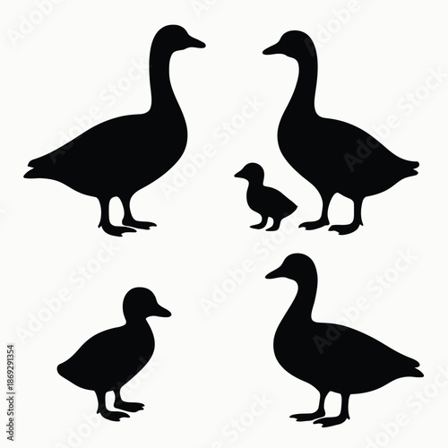Goose and Gosling Silhouette Set, Farm Animal Icon Vector Collection Isolated on White Background. 