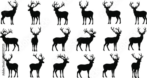 Deer silhouette vector set, wild stag collection in different poses, black animal illustration for nature, wildlife design, hunting, forest themes