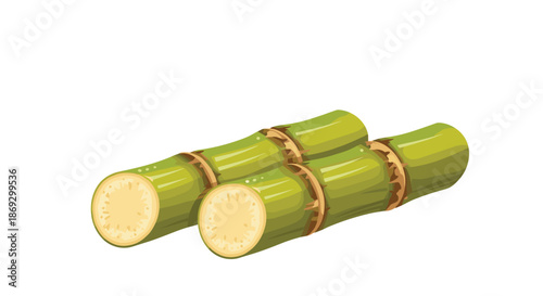 Realistic stalks of cut sugar cane showing the green exterior and fibrous interior are shown against a white background.