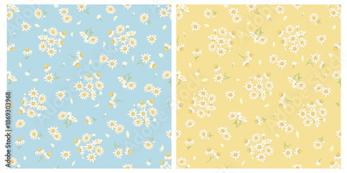 Seamless pattern of daisies for decoration and textile isolated on transparent background. You can edit shape and background