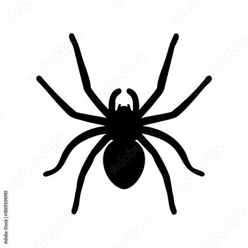 Silhouette of a spider with eight legs on white background