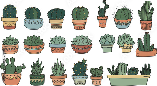 A charming collection of various potted cacti and succulents in colorful decorative planters