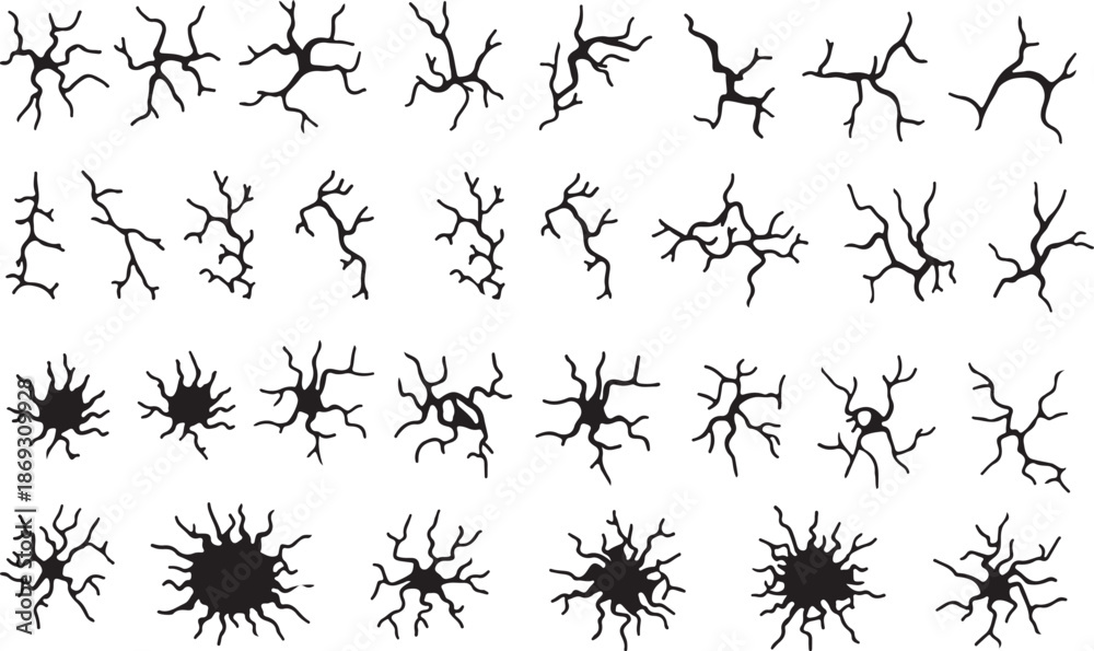 Obraz premium Extensive set of various black crack shapes and shattered surface impact patterns