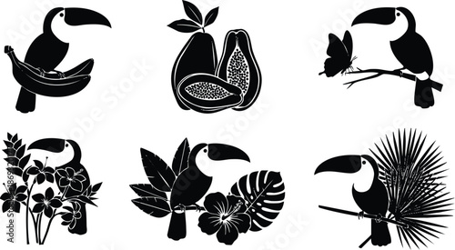 Black and white vector art of toucan birds perched on branches with tropical banana papaya flowers butterfly and palm leaves detailed silhouette icons set