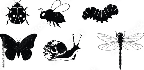 Black and white silhouette vector art of ladybug bee caterpillar butterfly snail and dragonfly insect collection with fine details isolated on white background