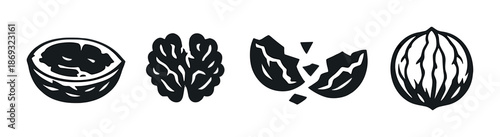 Monochrome walnut halves and whole on dark background