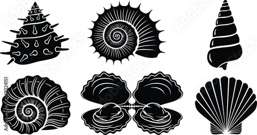 Black silhouette seashell collection with spiral and scallop shapes detailed vector art isolated on white background minimalistic marine shell set in flat design style