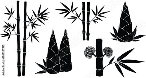 Black silhouette bamboo stalks and bamboo shoots with leaves close up vector art showing natural elements and plant details isolated on white background elegant botanical design