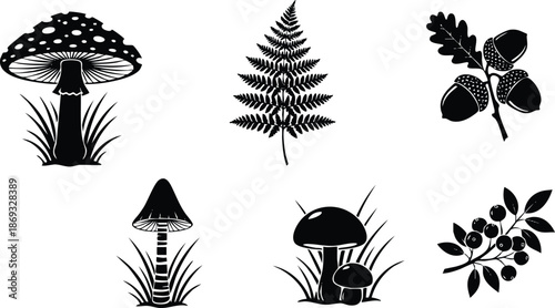 Black silhouette vector art of different forest elements including mushroom cluster fern leaf acorn branch and berry sprig isolated on white background forest nature icons set